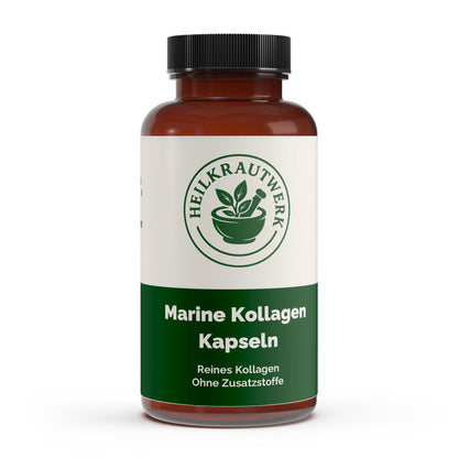 Marine Kollagen Peptide (2000-5000 DA) - 120 Kapseln